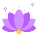 lotus (3)